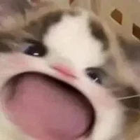 All