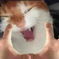 All muốn bỏ ai thì bỏ