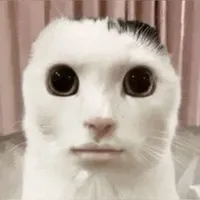 bạn t/g