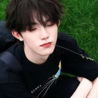 Tô Tân Hạo-cậu