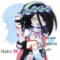 Na ( t/g )