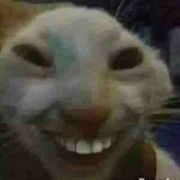 Nvp