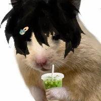 T/g