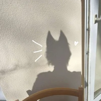 Nhân Vật Phụ Nam