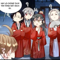 Đám báo con của TMT