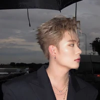 dương domic