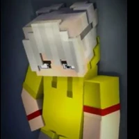 vid