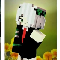 wyn