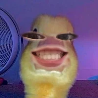 t/g🐏🐷