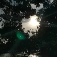 all