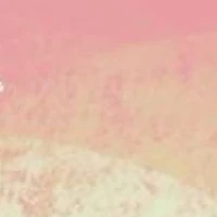 tất cã nam trong lớp trừ nhóm tan