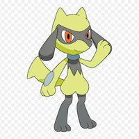 riolu shiny_ash