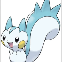pachirisu_asg
