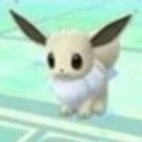 eevui shiny (hini)_ash