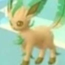 leafeon shiny_ash
