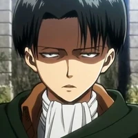 levi