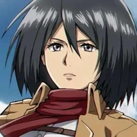 mikasa