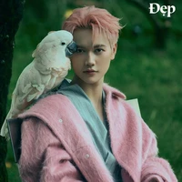 Nguyễn Thái sơn ( jsol)