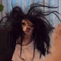 my name is author