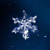 allbot(trong chuyện-cos duy trong này)