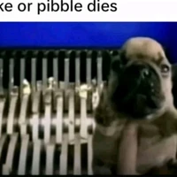 hệ thống củ chúi(quyền lực nhất tr)