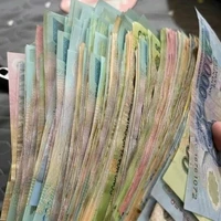 All lớp 7