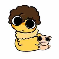 shedletsky