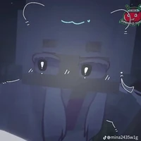 hiha hologram