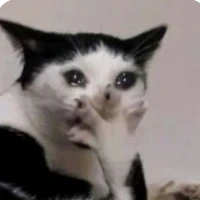 thành viên tổ chức áo đen