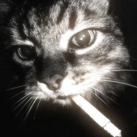 𝐀𝐮𝐭𝐡𝐨𝐫