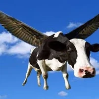 Loài Bò Biết Bay – Hệ Thống