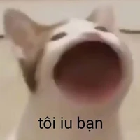 ăn bám:)))