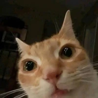 Fifai sống dai huyền thoại(Tiên)