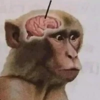 Ai đó