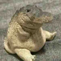 Con tác giả Skibidi 