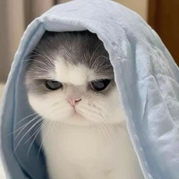 tỉu lì lợm của Rui