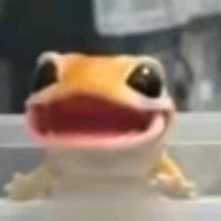 t/g