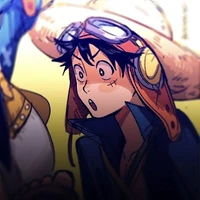 Monkey D Luffy[Rei]