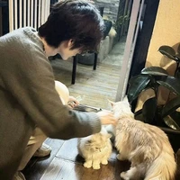 Neyuq | bachtang_vuong