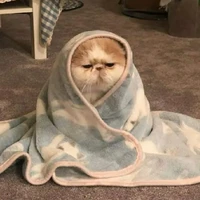 t/g dzai sad | hệ thống