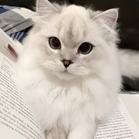 Hệ thống 001(Lady)