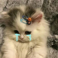 nhỏ t/g