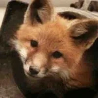 T/g nghiện boylove ^^