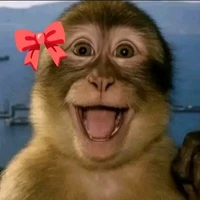 bà tác giả bị ngu