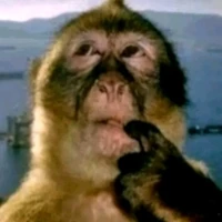 con bạn của tác giả cũng ngu luôn