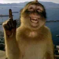 Hệ thống (sứa)