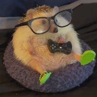 nzi nòo