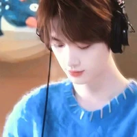 Đinh Trình Hâm (em)