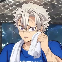 [Shinazugawa Sanemi]