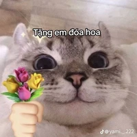 Lớp trưởng (Ngồi kế bên)